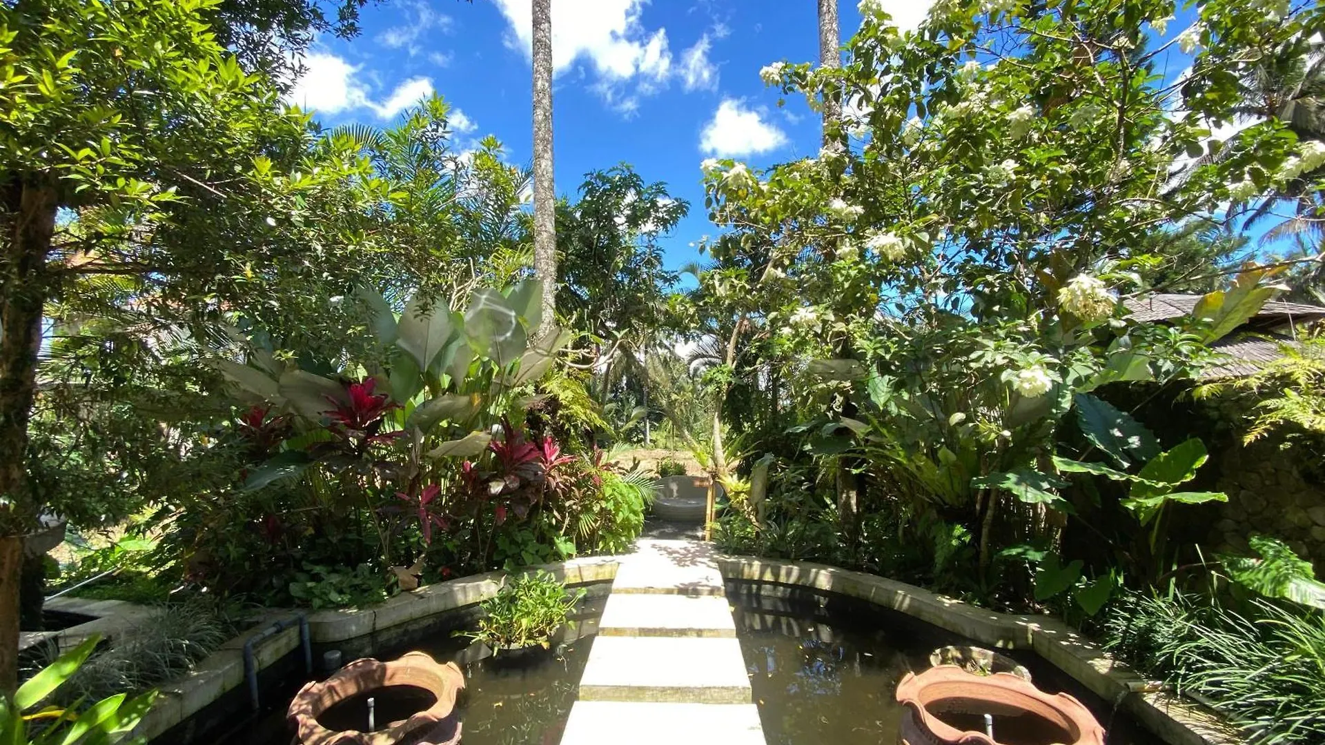 Akasha New Earth Haven Villa Ubud  Guest house Ubud (Bali)